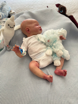 Paranormal Haunted Reborn Baby Doll - Spirit of Elijah 9-Months Active Playful Beloved Soul