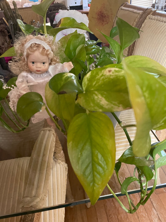 Enchanted Garden Fairy Doll Meet Liora Your Benevolent Fae Companion